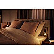 Philips Hue Smart-LED-Lampe White Ambiance Filament (E27, Dimmbar, Warmweiß, 550 lm, 7 W, Lampenbezeichnung: G93, 3 Stk.) | BAUHAUS