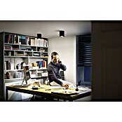 Philips Hue LED-Deckenstrahler White Ambiance Pillar (4,2 W, L x B x H: 10,3 x 10,3 x 12 cm, Schwarz, Neutralweiß) | BAUHAUS