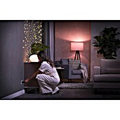 Philips Hue Funksteckdose Plug (Weiß, Max. Anschlussleistung: 2 300 W, 3 Stk.) | BAUHAUS
