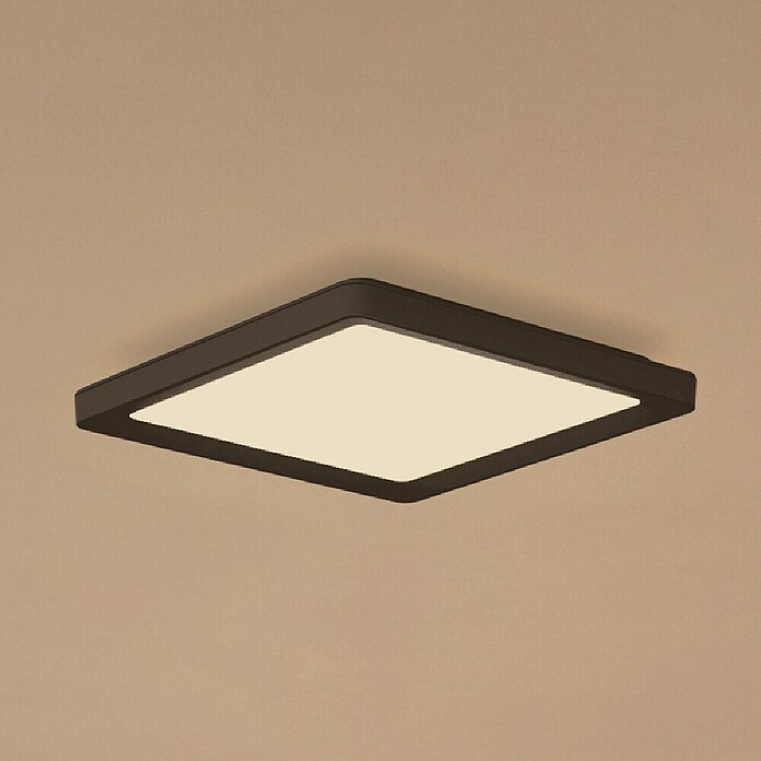 Philips Hue LED-Panel White Ambiance Tento S (12,6 W, L x B x H: 29,5 x 29,5 x 3,5 cm, Schwarz, Warmweiß) | BAUHAUS