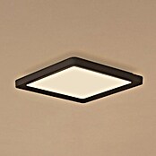 Philips Hue LED-Panel White Ambiance Tento S (12,6 W, L x B x H: 29,5 x 29,5 x 3,5 cm, Schwarz, Warmweiß) | BAUHAUS