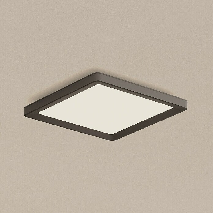 Philips Hue LED-Panel White Ambiance Tento S (12,6 W, L x B x H: 29,5 x 29,5 x 3,5 cm, Schwarz, Warmweiß) | BAUHAUS