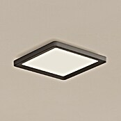 Philips Hue LED-Panel White Ambiance Tento S (12,6 W, L x B x H: 29,5 x 29,5 x 3,5 cm, Schwarz, Warmweiß) | BAUHAUS