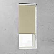 Verduisterend rolgordijn (b x h: 210 x 190 cm, Zand) | BAUHAUS