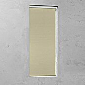 Verduisterend rolgordijn (b x h: 210 x 190 cm, Zand) | BAUHAUS