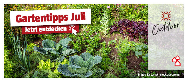 Gartentipps für Juli entdecken