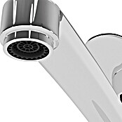Hansgrohe Keukenkraan Focus 160 (Chroom, Glanzend)