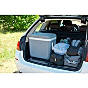 Campingaz Električna hladilna torba Powerbox Plus  (36 l, 56 x 35 x 40 cm) | 8330 - Kühlboxen/Kühlzubehör | ICJA - Campingartikel | ICJ - Campingartikel | IC - Freizeit im Garten | I - Stadtgarten | BAUHAUS