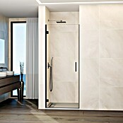 GME Mampara de ducha frontal Glass A (80 x 195 cm, Espesor de vidrio: 6 mm, Titanio) | BAUHAUS