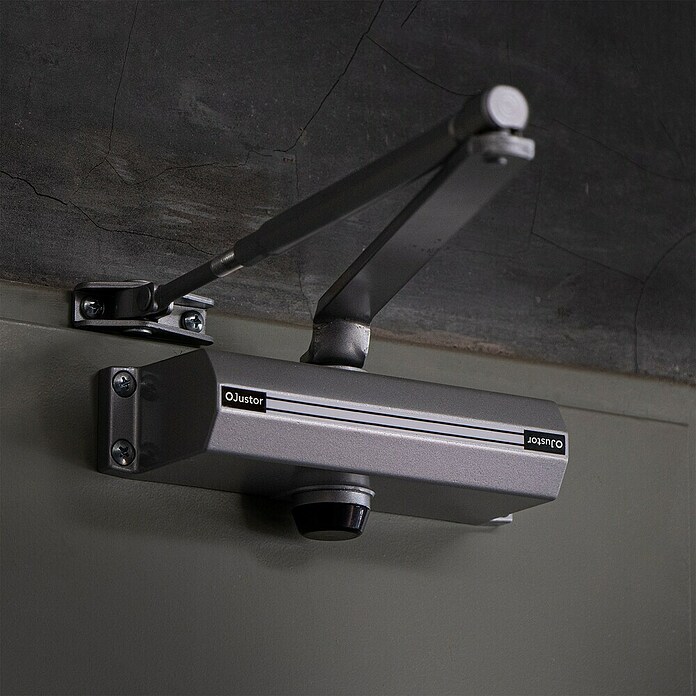 Justor Cerrador de puertas CH (Plateado, Aluminio) | BAUHAUS