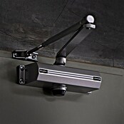 Justor Cerrador de puertas CH (Plateado, Aluminio) | BAUHAUS