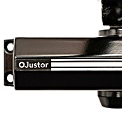 Justor Cerrador de puertas CH (Negro, Aluminio) | BAUHAUS