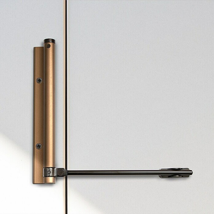 Justor Elevador de puertas MB 56 (Bronce, Carga soportada: 40 kg) | BAUHAUS