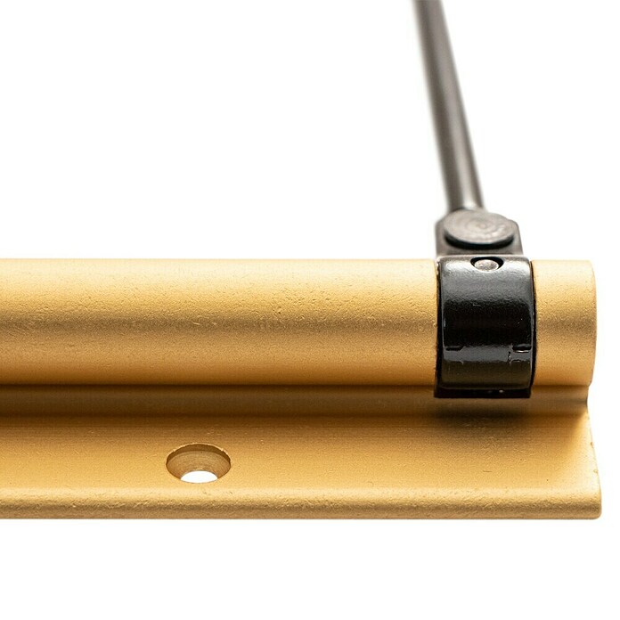 Justor Elevador de puertas MB 56 (Oro, Carga soportada: 40 kg) | BAUHAUS
