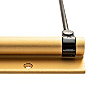 Justor Elevador de puertas MB 56 (Oro, Carga soportada: 40 kg) | BAUHAUS