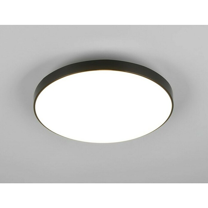 Trio Leuchten LED stropna svetilka Spica  (18 W, 2.000 lm, Črna, Barva svetlobe: Nevtralno bela) | 3098 - Badlicht | CAKA - Zweckleuchten | CAK - Technisches Licht | CA - Beleuchtung | C - Elektro | BAUHAUS