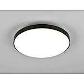 Trio Leuchten LED stropna svetilka Spica  (18 W, 2.000 lm, Črna, Barva svetlobe: Nevtralno bela) | 3098 - Badlicht | CAKA - Zweckleuchten | CAK - Technisches Licht | CA - Beleuchtung | C - Elektro | BAUHAUS