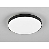 Trio Leuchten LED stropna svetilka Spica  (18 W, 2.000 lm, Črna, Barva svetlobe: Nevtralno bela) | 3098 - Badlicht | CAKA - Zweckleuchten | CAK - Technisches Licht | CA - Beleuchtung | C - Elektro | BAUHAUS