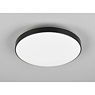 Trio Leuchten LED stropna svetilka Spica (18 W, 2.000 lm, Črna, Barva svetlobe: Nevtralno bela)