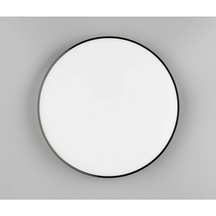 Trio Leuchten LED stropna svetilka Spica  (18 W, 2.000 lm, Črna, Barva svetlobe: Nevtralno bela) | 3098 - Badlicht | CAKA - Zweckleuchten | CAK - Technisches Licht | CA - Beleuchtung | C - Elektro | BAUHAUS