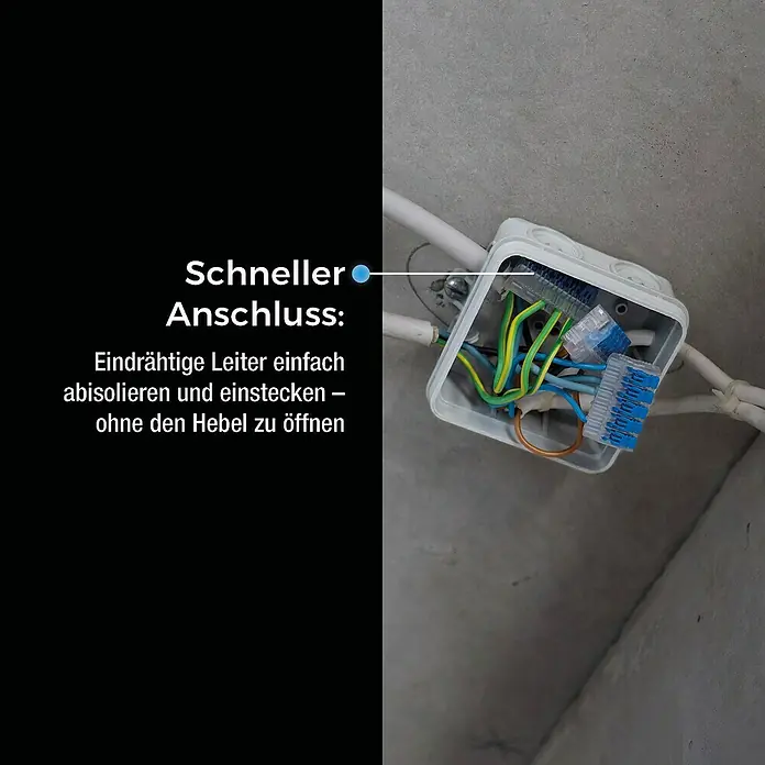 Ideal Hebelklemme Gen II - Anzahl Leiter: 5 Stk., 4 mm², 30 Stk. - Bild einer Verteilerdose mit elektrischen Kabeln und blauen Wago-Klemmen, die eine schnelle und einfache Verbindung ermöglichen.