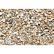 Scherf Flusskiesel Big Bag (Bunt, Körnung: 8 mm - 16 mm, 1 000 kg) | BAUHAUS