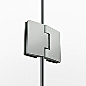 GME Mampara de ducha frontal Glass (255 x 195 cm, Nickel, An x Al: 255 cm (60+70+70+60), 195 cm) | BAUHAUS