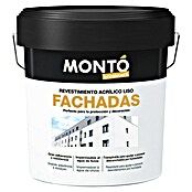 Montó Bricolovers Pintura para fachadas (Blanco, 15 l) | BAUHAUS