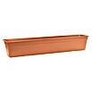 Elho Pflanzkasten Florus Original Super (Kunststoff, Terra, L x B x H: 79 x 17 x 13,7 cm) | BAUHAUS