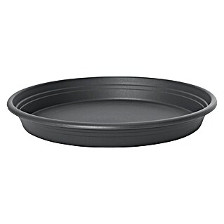 Elho Topfuntersetzer Universal (Anthrazit, Ø x H: 44 x 5,2 cm, Kunststoff)