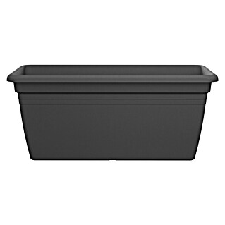Elho Pflanzkasten Florus Mediterran (Kunststoff, Anthrazit, L x B x H: 59 x 29,5 x 26 cm)