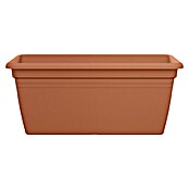 Elho Pflanzkasten Florus Mediterran (Kunststoff, Terra, L x B x H: 59 x 29,5 x 26 cm) | BAUHAUS