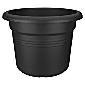 Elho Green Basics Pflanztopf (Schwarz, Kunststoff) | BAUHAUS