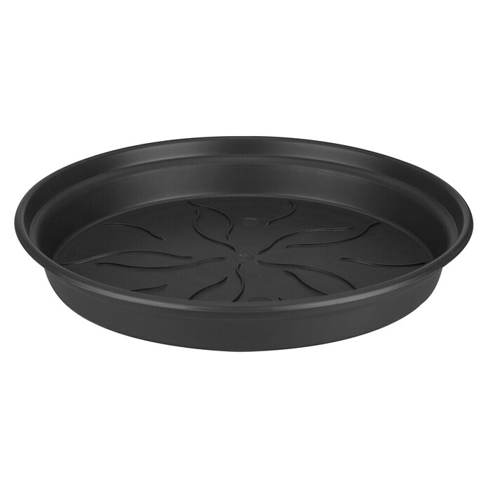 Elho Green Basics Blumentopf-Untersetzer (Kunststoff, Schwarz, Durchmesser: 65 cm) | BAUHAUS