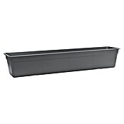 Elho Pflanzkasten Florus Original Super (Kunststoff, Anthrazit, L x B x H: 58 x 16,3 x 13,7 cm) | BAUHAUS