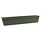 Elho Pflanzkasten Florus Original Super (Kunststoff, Grün, L x B x H: 79 x 17 x 13,7 cm) | BAUHAUS