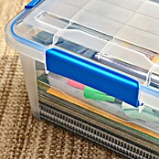 Zaboj za shranjevanje  (Do x Š x V: 38,2 x 28,8 x 24,3 cm, Plastika) | 1401 - Boxen Körbe Wannen Kunststoff | AAJA - Boxen_Körbe_Wannen | AAJ - Aufbewahrung | AA - Eisenwaren | A - Eisenwaren | BAUHAUS