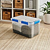 Aufbewahrungsbox Wasserdicht (L x B x H: 57,8 x 38,2 x 31,8 cm, Kunststoff, Transparent) | BAUHAUS