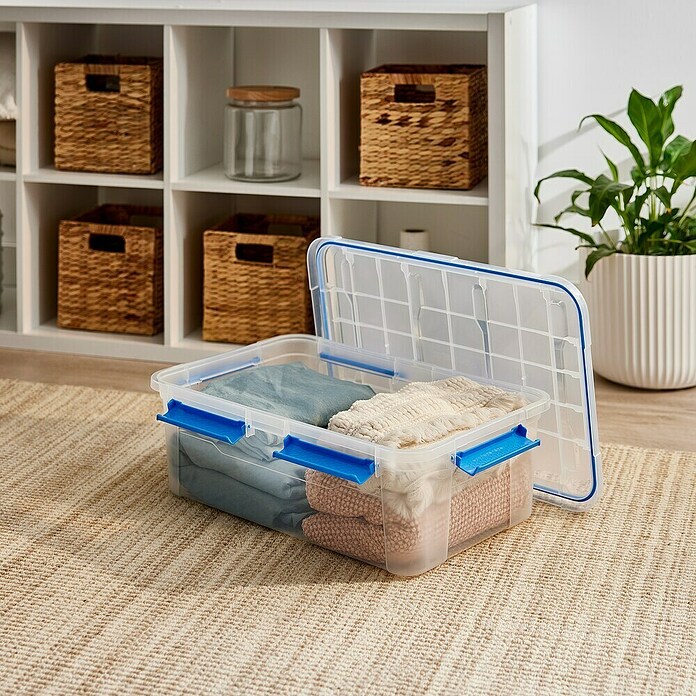 Zaboj za shranjevanje  (Do x Š x V: 57,8 x 38,2 x 21,7 cm, Plastika) | 1401 - Boxen Körbe Wannen Kunststoff | AAJA - Boxen_Körbe_Wannen | AAJ - Aufbewahrung | AA - Eisenwaren | A - Eisenwaren | BAUHAUS