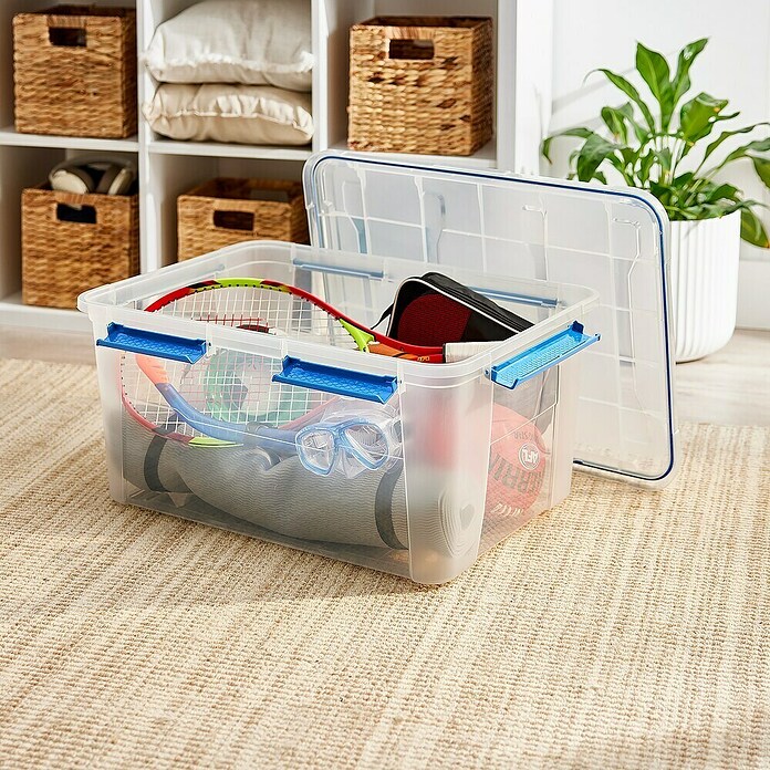 Zaboj za shranjevanje  (Do x Š x V: 64 x 47 x 33,3 cm, Plastika) | 1401 - Boxen Körbe Wannen Kunststoff | AAJA - Boxen_Körbe_Wannen | AAJ - Aufbewahrung | AA - Eisenwaren | A - Eisenwaren | BAUHAUS