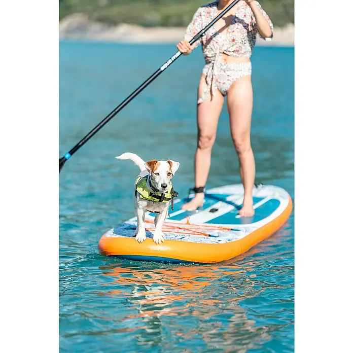 Aqua Marina SUP-Board Pure Air Tropic 10,6" - L x B x H: 320 x 81 x 15 cm, Nutzlast: 140 kg, 1 Stk., Aufblasen - Eine Frau paddelt mit ihrem Hund auf einem Aqua Marina Paddleboard auf dem Wasser.