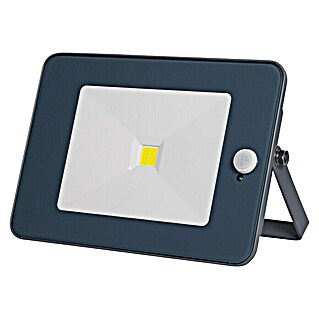 Profi Depot Sensor-LED-Strahler (1-flammig, 10 W, Grau)