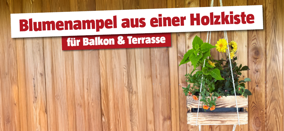 Selbstgemachte Blumenampel aus einer Holzkiste und Sisalsel mi Titel Blumenampel aus einer Holzkiste