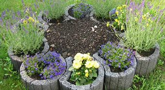 Pflanzringe im Rasen bilden ein rundes Beet und wurden mit Blumen bepflanzt