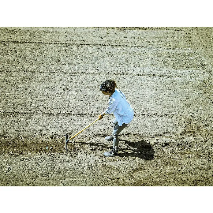 Bellota Rastrillo de jardín - Anchura de trabajo: 36 cm, Número de púas: 16 - Una mujer en un campo trabaja con un rastrillo. Lleva una blusa azul claro y pantalones grises.