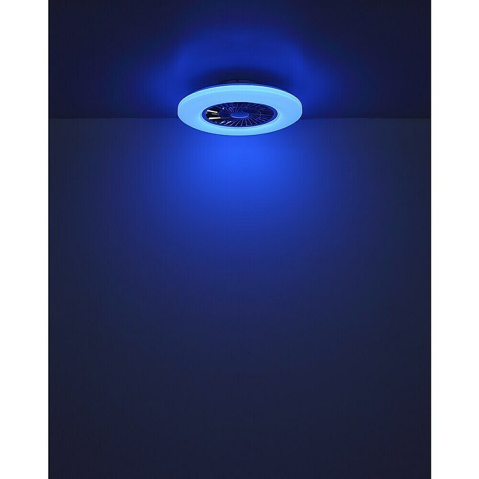 Globo Plafondventilator Alva met verlichting (Zwart / Wit, Diameter: 59,5 cm, 40 W) | BAUHAUS