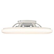 Globo Plafondventilator Alva met verlichting (Zwart / Wit, Diameter: 59,5 cm, 40 W) | BAUHAUS