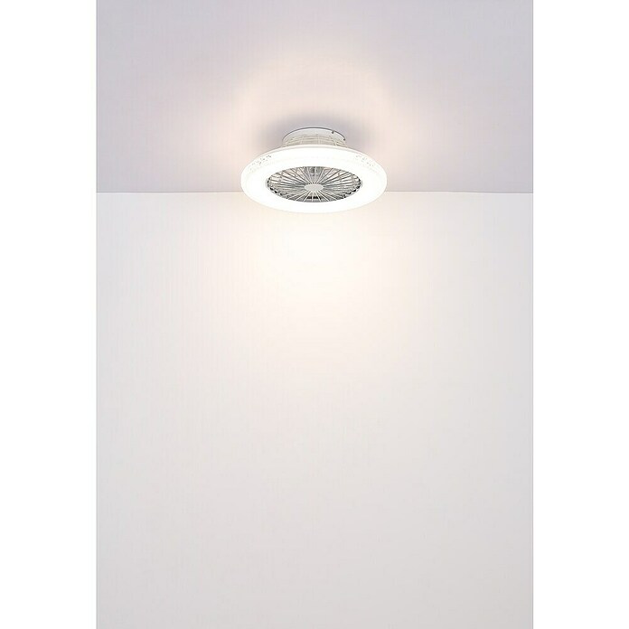 Globo Plafondventilator Carusso met verlichting (Chroom / Wit, Diameter: 50 cm, 40 W) | BAUHAUS