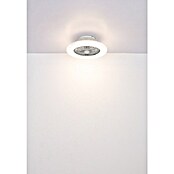 Globo Plafondventilator Carusso met verlichting (Chroom / Wit, Diameter: 50 cm, 40 W) | BAUHAUS