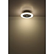 Globo Plafondventilator Carusso met verlichting (Chroom / Wit, Diameter: 50 cm, 40 W) | BAUHAUS